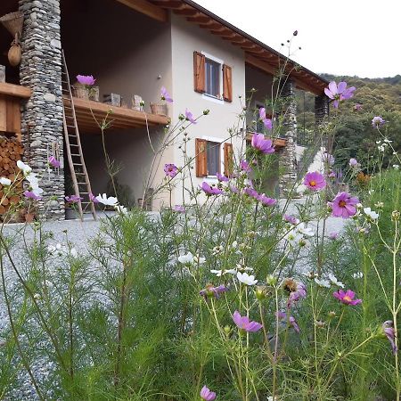 Semi Al Vento: La Bio-Casa Nel Giardino Incantato! Apartment Paesana Exterior foto