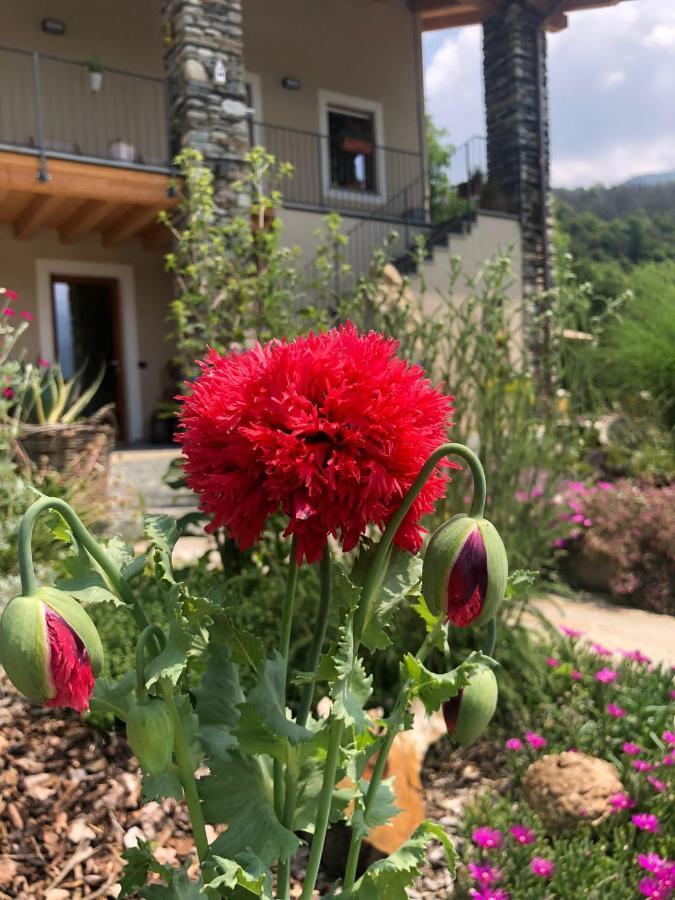 Semi Al Vento: La Bio-Casa Nel Giardino Incantato! Apartment Paesana Exterior foto