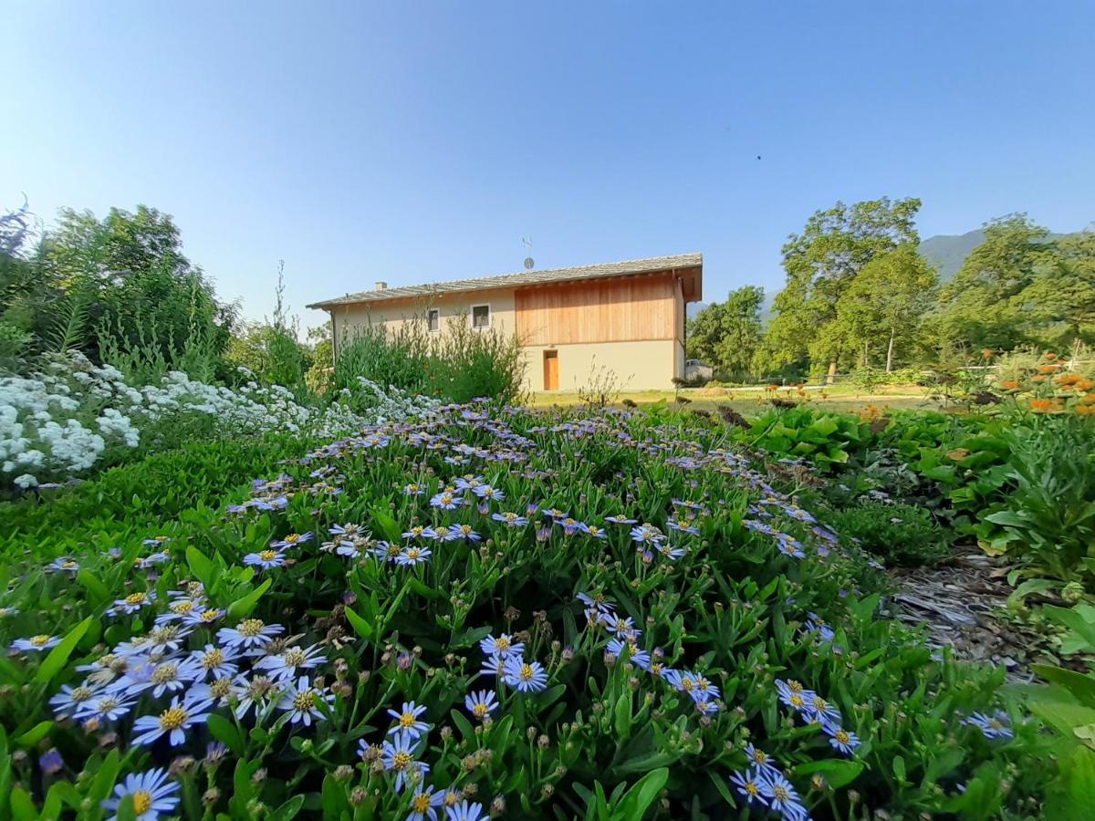 Semi Al Vento: La Bio-Casa Nel Giardino Incantato! Apartment Paesana Exterior foto