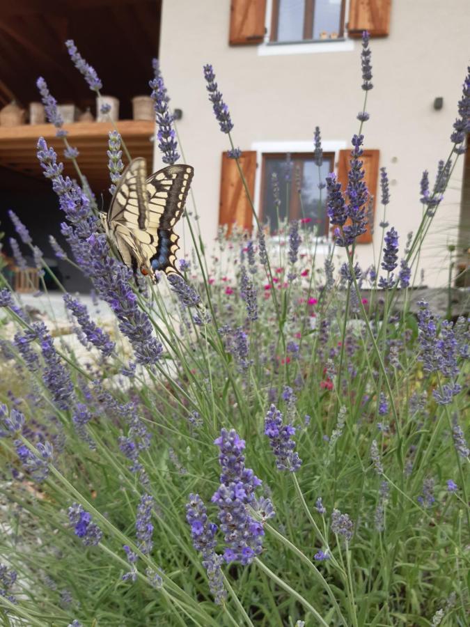 Semi Al Vento: La Bio-Casa Nel Giardino Incantato! Apartment Paesana Exterior foto